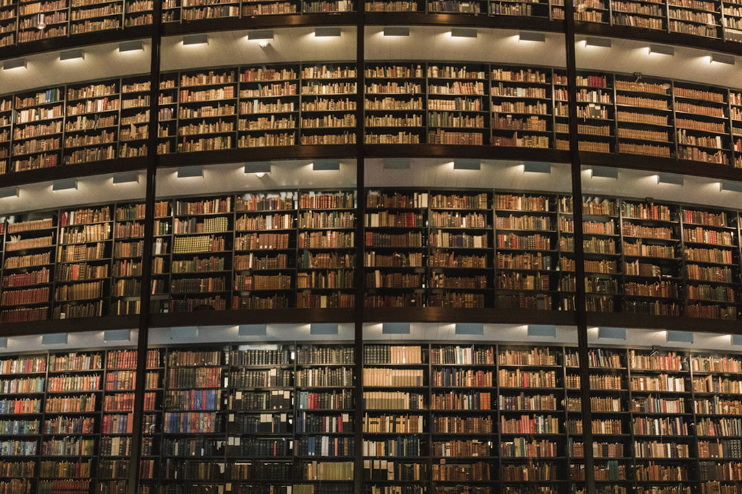 7 Incredible Libraries to See Before You Die