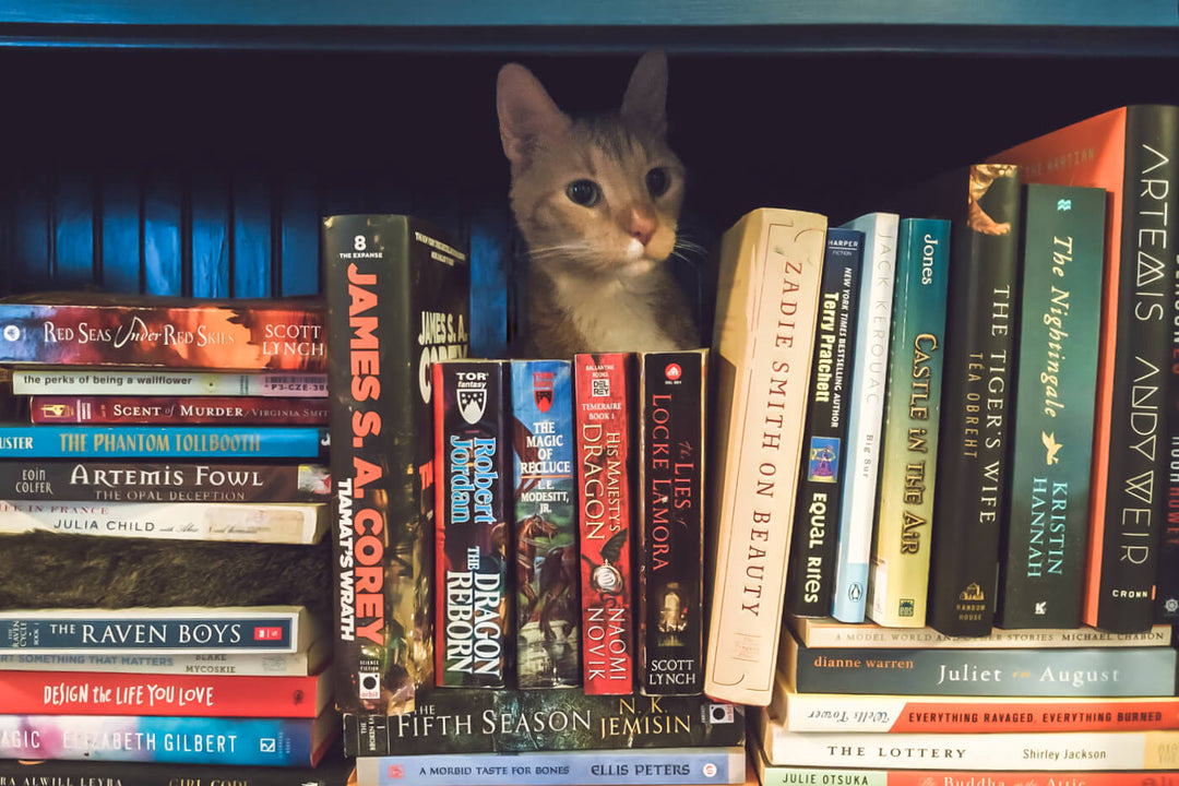 Heist Novels for the Aspiring Cat Burglar
