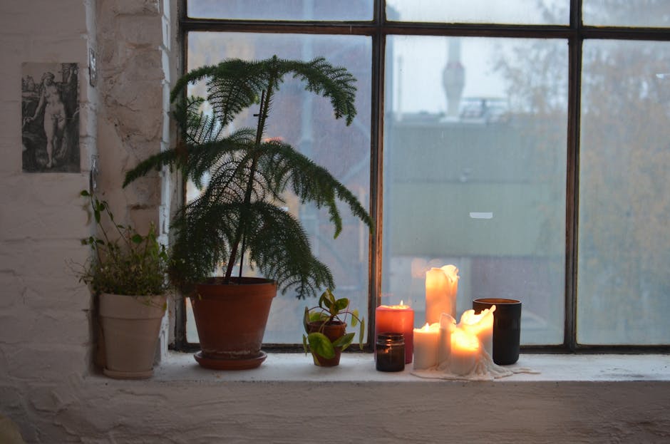 The Ultimate Guide to the Safety of Soy Wax Melts